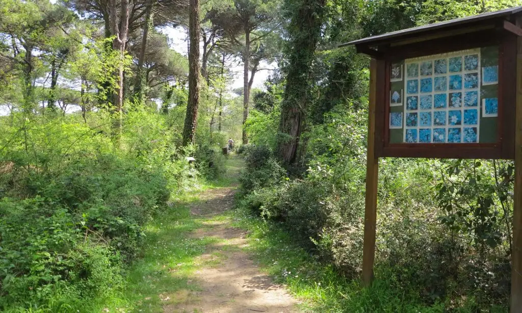 Parco Naturale di Cervia