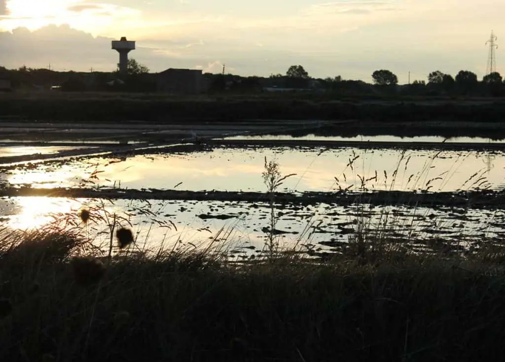 Saline di Cervia