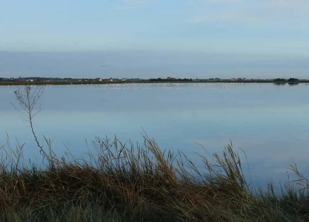 Saline di Cervia