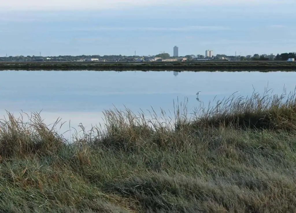 Saline di Cervia