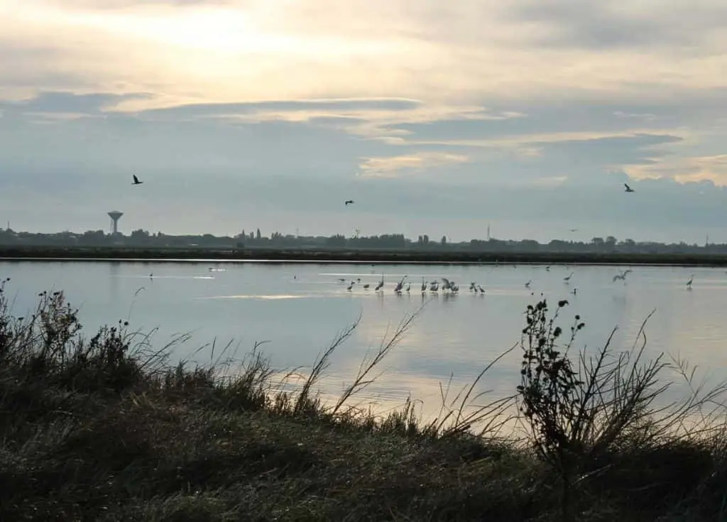 Saline di Cervia