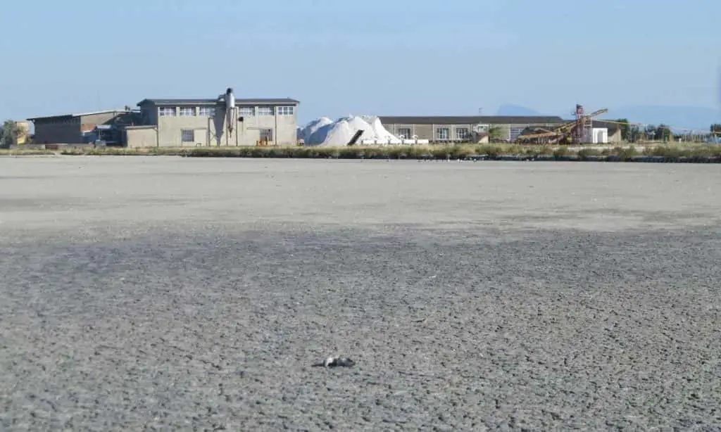 Saline di Cervia