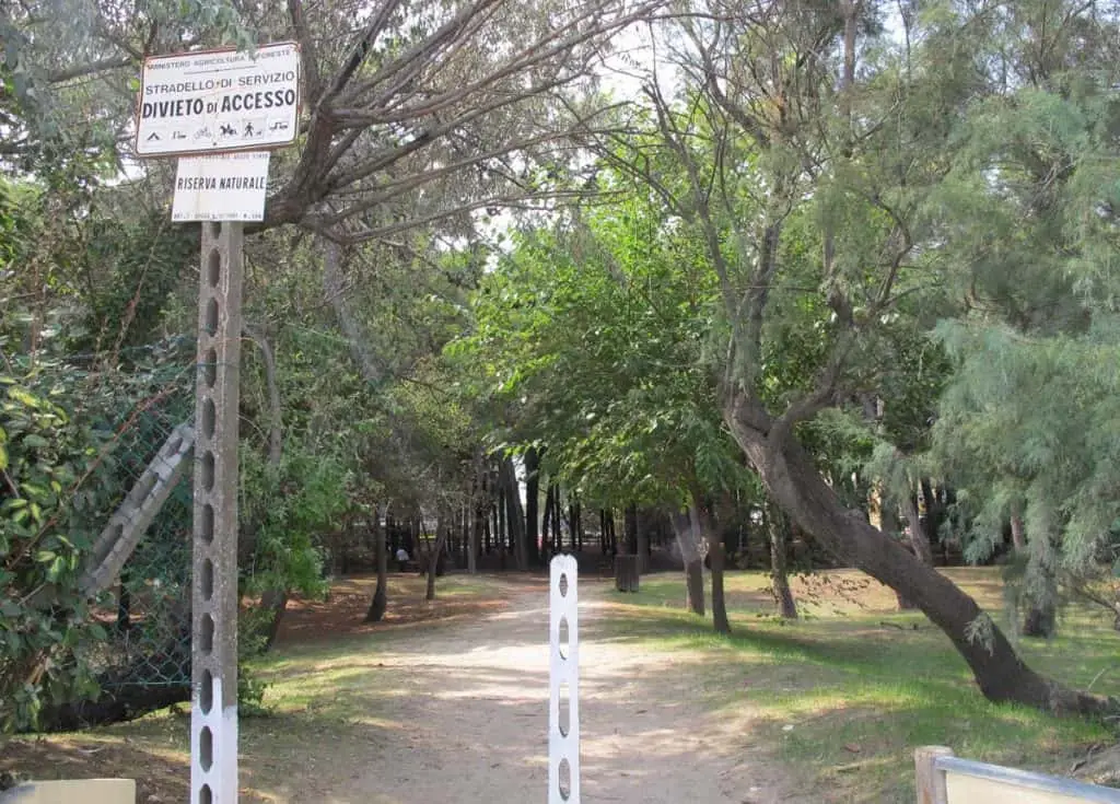 Pineta di Cervia