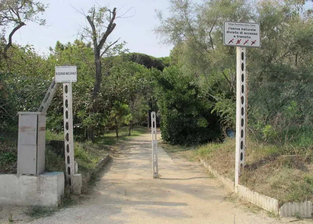 Pineta di Cervia