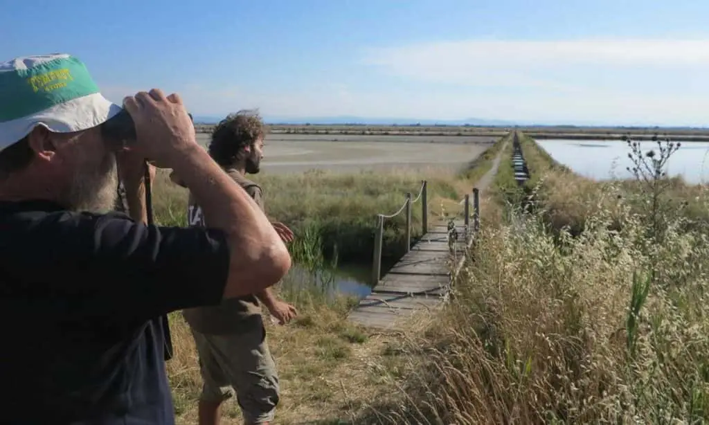 Saline di Cervia